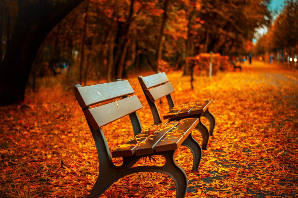 fall benches