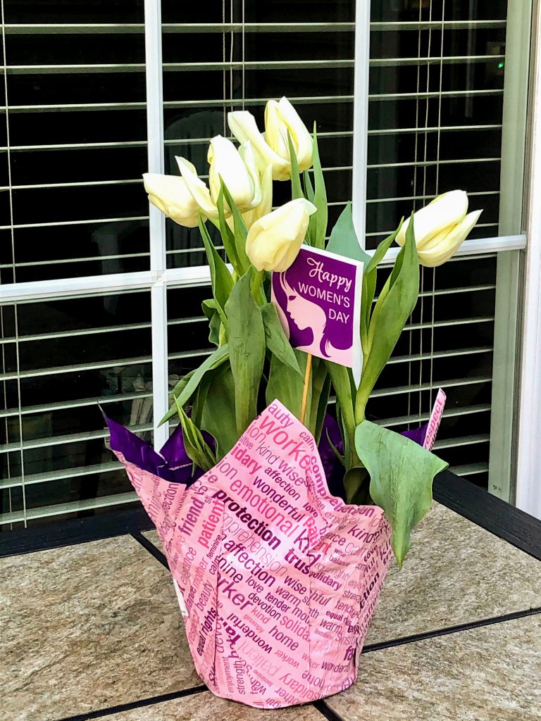 Photograph of potted white tulips 