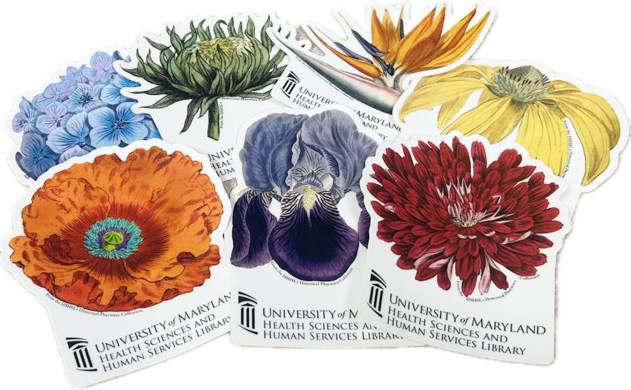 Collage of illustrated flowers on cards labeled University of Maryland Health Sciences and Human Services Library.