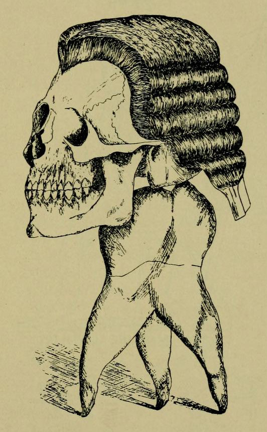 Hand-drawn image of a skull on a molar with a wig.