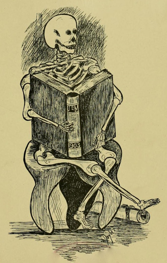 Hand-drawn image of a skeleton sitting on a molar reading a book